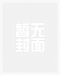锦衣娘子小说无防盗章节